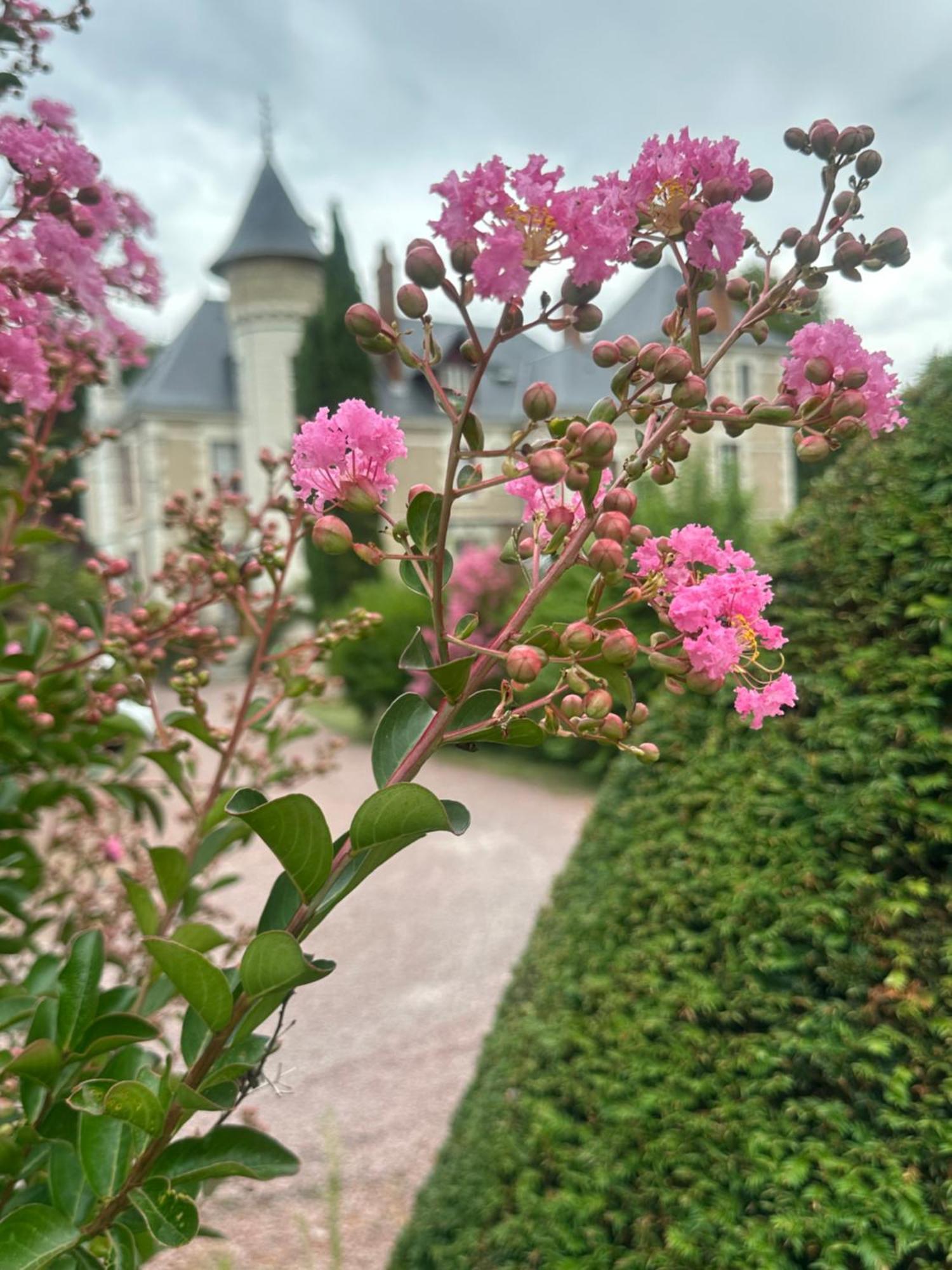 Le Moulin De Bed & Breakfast