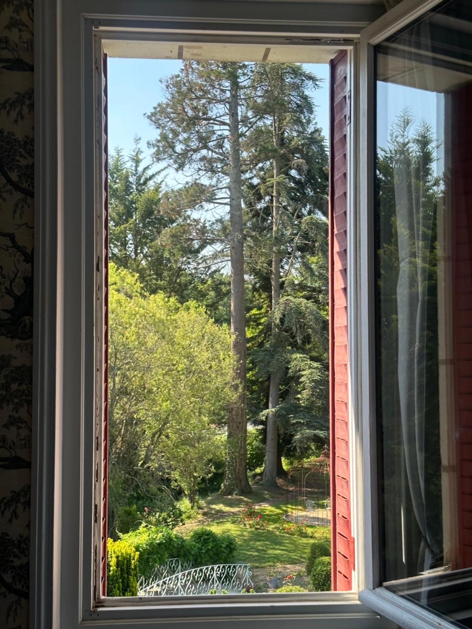 Le Moulin De Couette-café Francueil